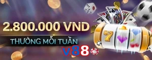 v88